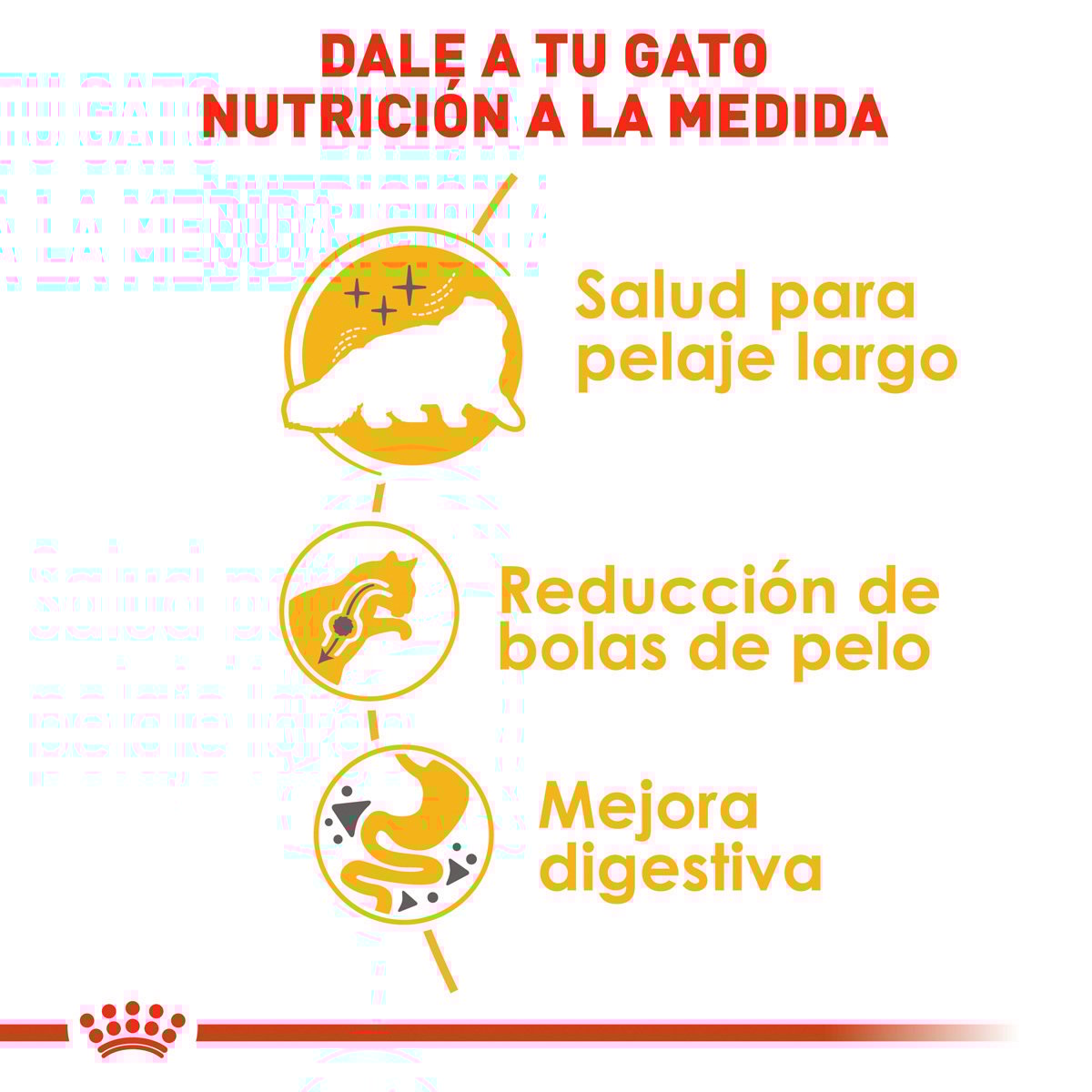 Royal Canin Persa Adulto 3.18 kg