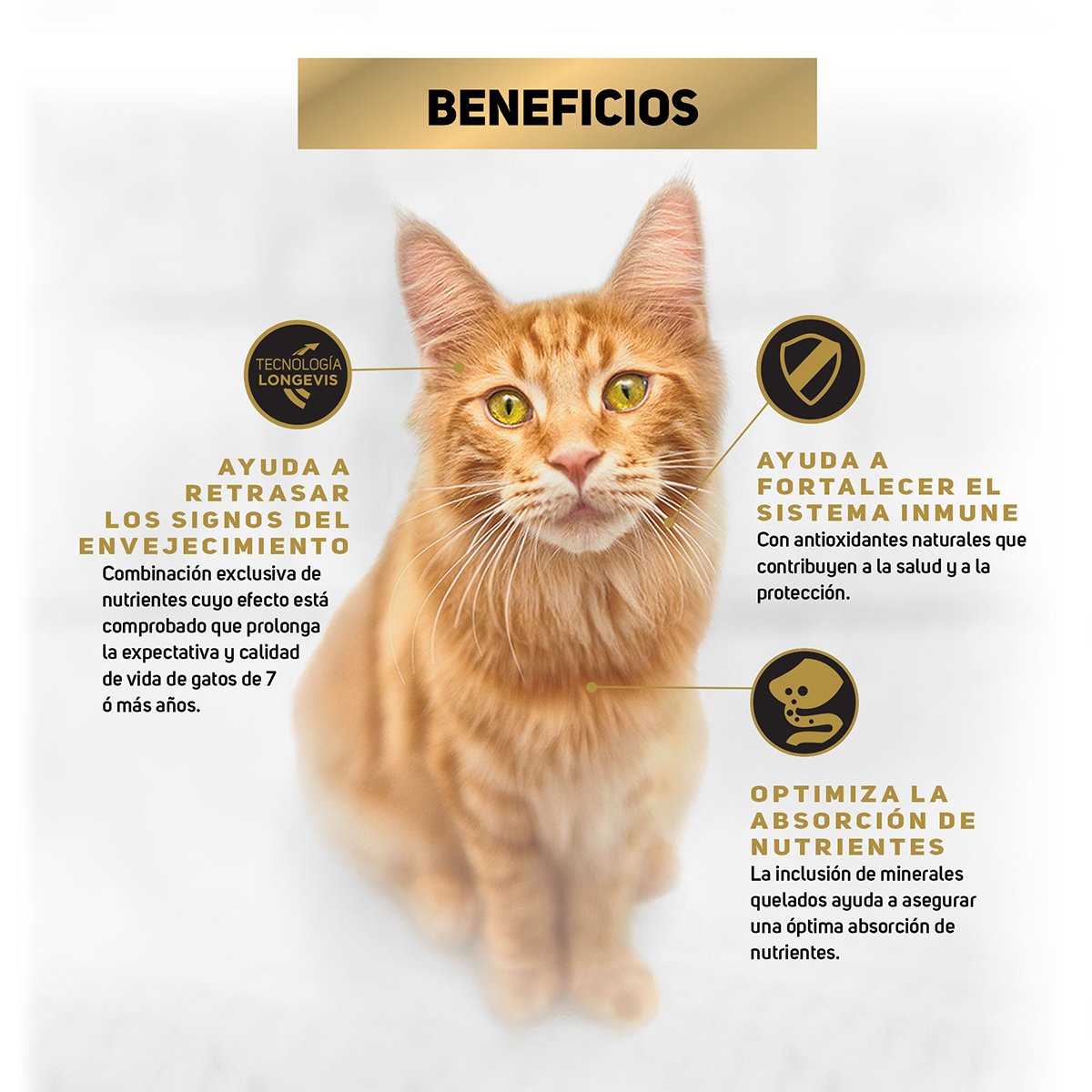 Pro Plan Adult 7+ Optiage Alimento Seco para Gato Senior Receta Pollo 3 kg