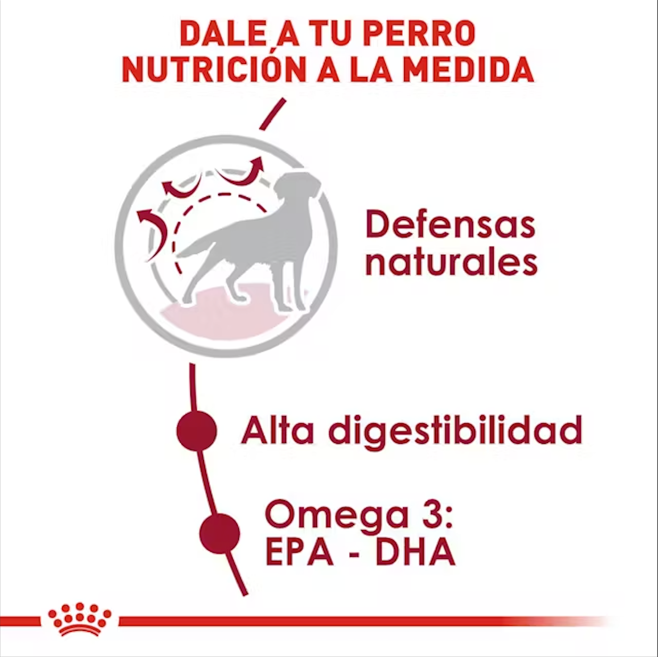 Royal Canin Medium Adult 13.61 kg
