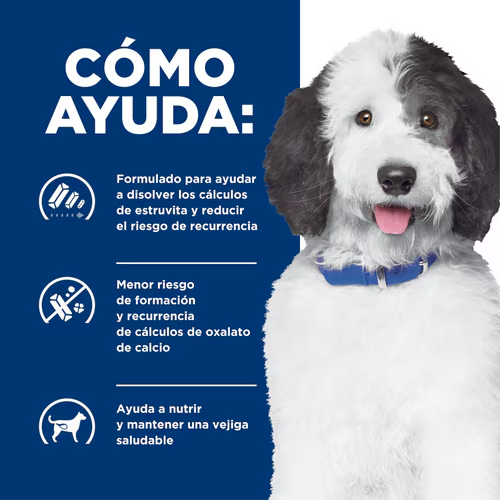 Hill's Prescription Diet c/d urinary care Sabor a pollo 12.5 kg