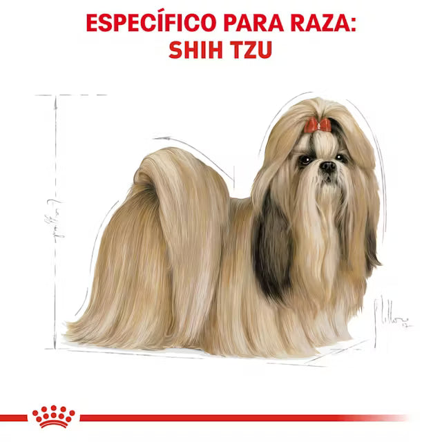Royal Canin Shih Tzu Adult 4.54 kg