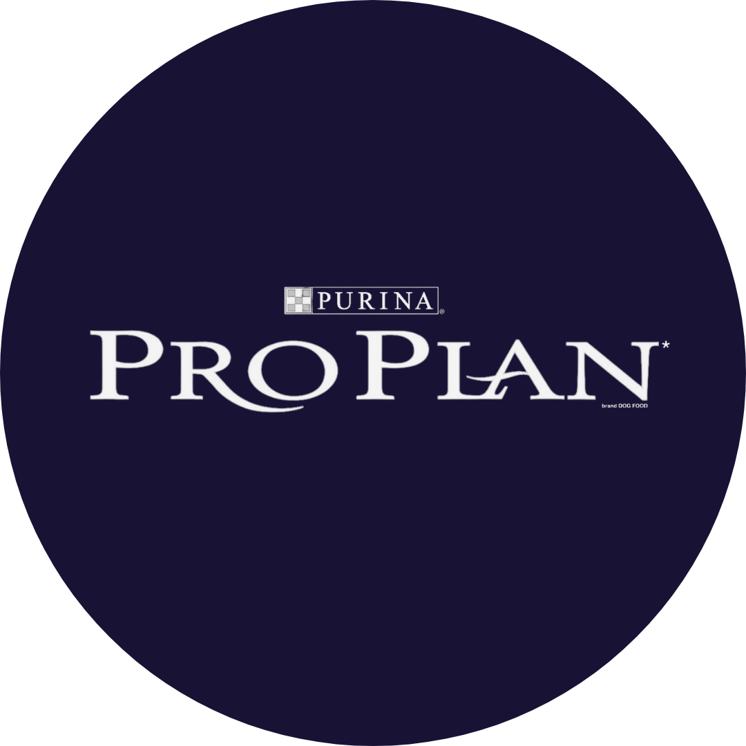 Pro Plan